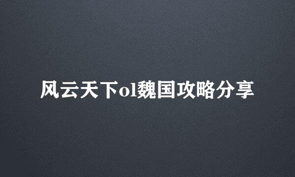 风云天下ol魏国攻略分享