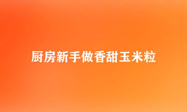 厨房新手做香甜玉米粒