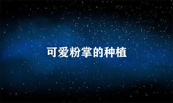 可爱粉掌的种植