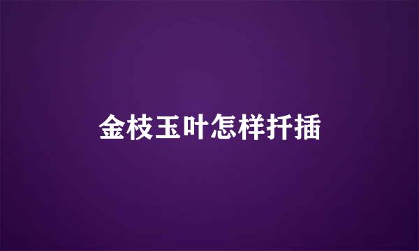 金枝玉叶怎样扦插