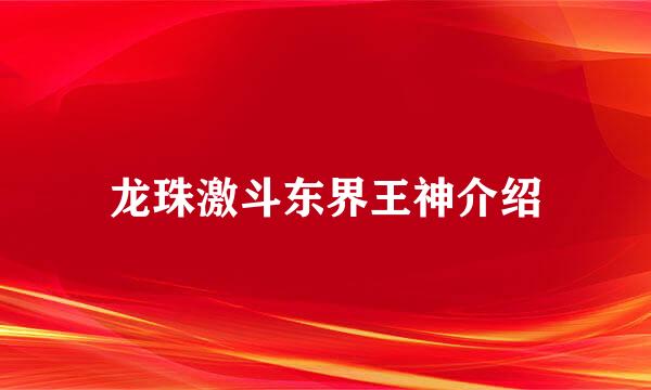 龙珠激斗东界王神介绍