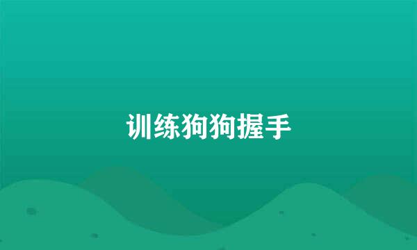 训练狗狗握手