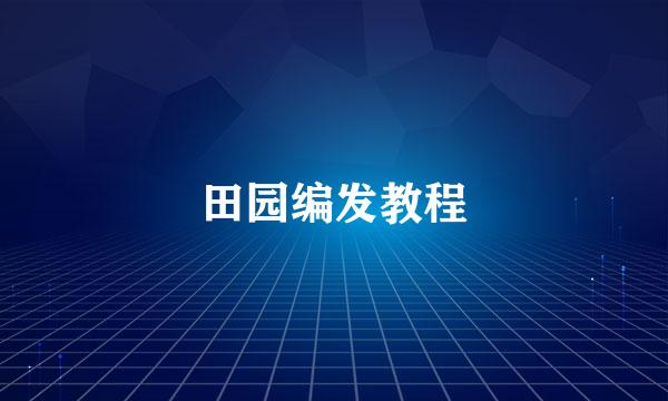 田园编发教程