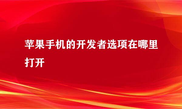 苹果手机的开发者选项在哪里打开