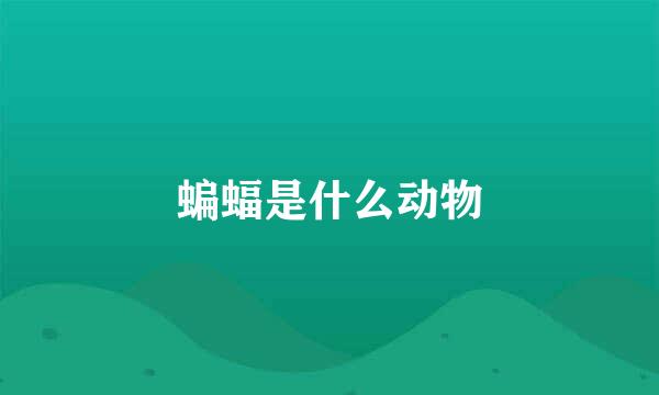 蝙蝠是什么动物