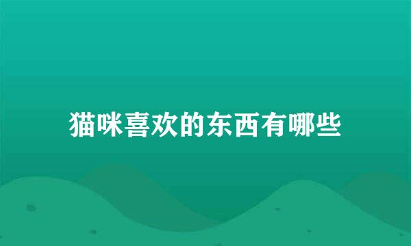 猫咪喜欢的东西有哪些