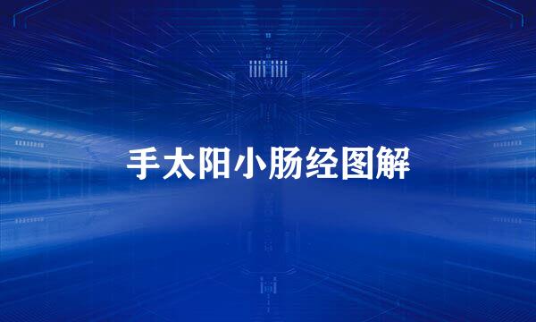 手太阳小肠经图解