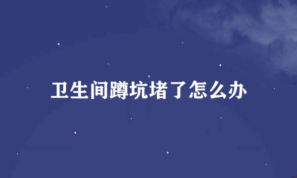 卫生间蹲坑堵了怎么办