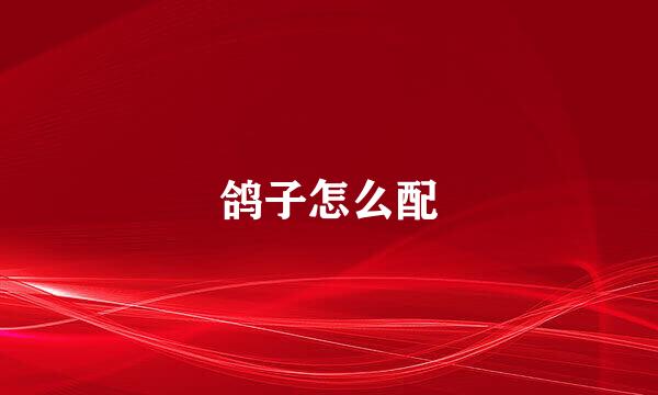 鸽子怎么配