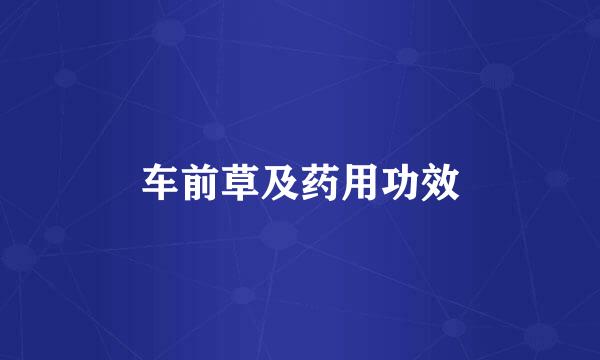 车前草及药用功效