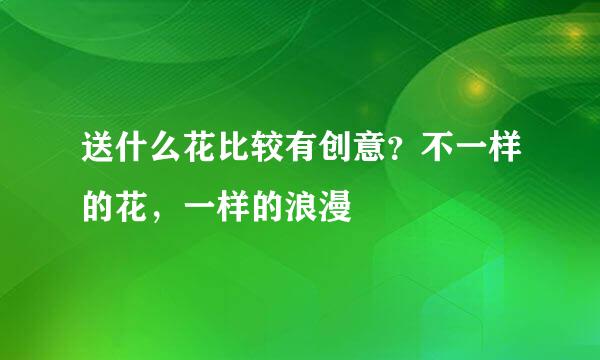 送什么花比较有创意？不一样的花，一样的浪漫