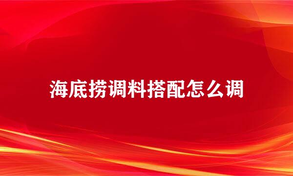 海底捞调料搭配怎么调