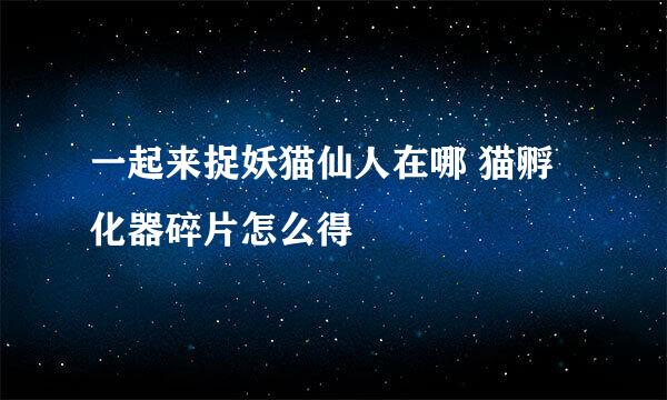 一起来捉妖猫仙人在哪 猫孵化器碎片怎么得