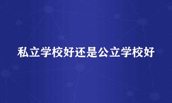 私立学校好还是公立学校好