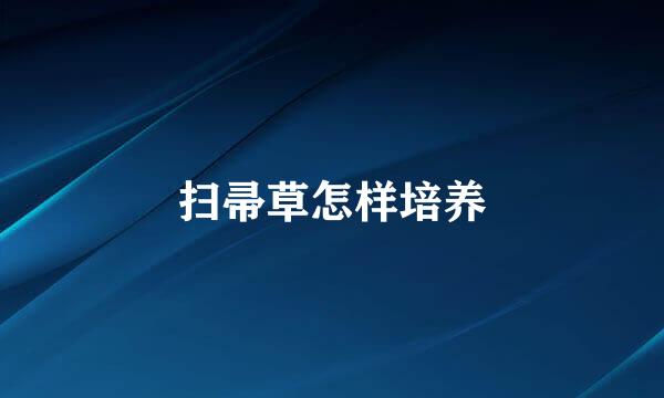 扫帚草怎样培养