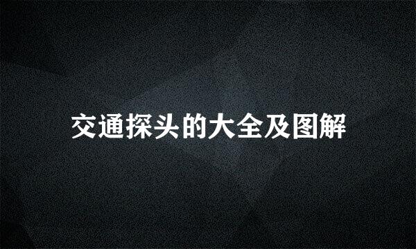 交通探头的大全及图解
