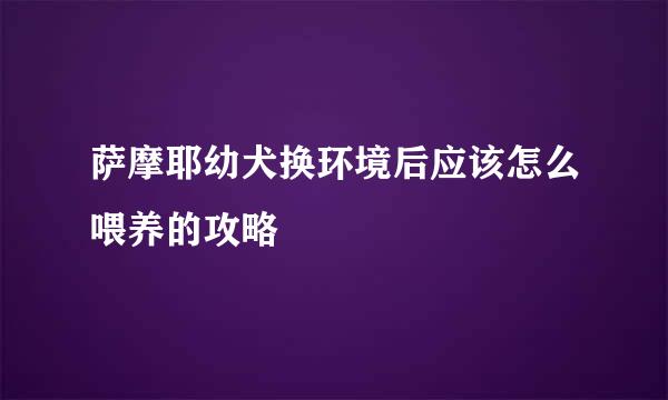 萨摩耶幼犬换环境后应该怎么喂养的攻略