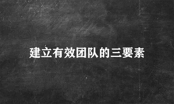 建立有效团队的三要素
