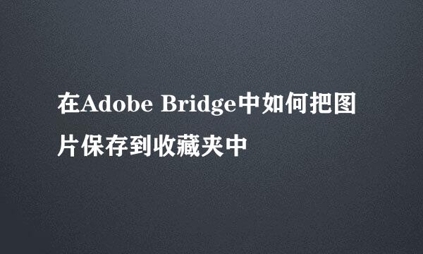 在Adobe Bridge中如何把图片保存到收藏夹中