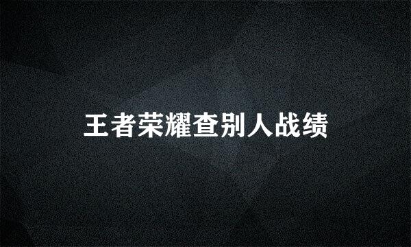 王者荣耀查别人战绩