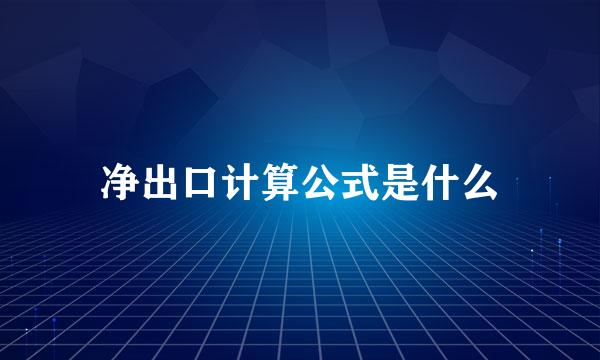 净出口计算公式是什么
