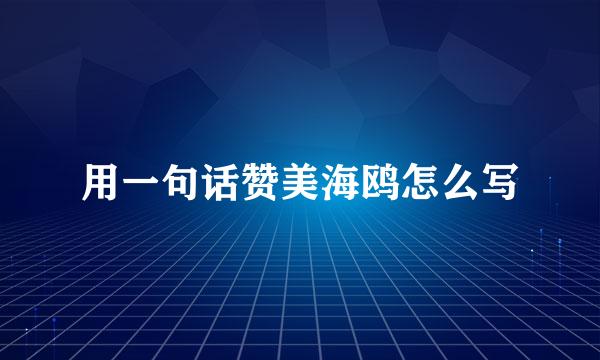 用一句话赞美海鸥怎么写