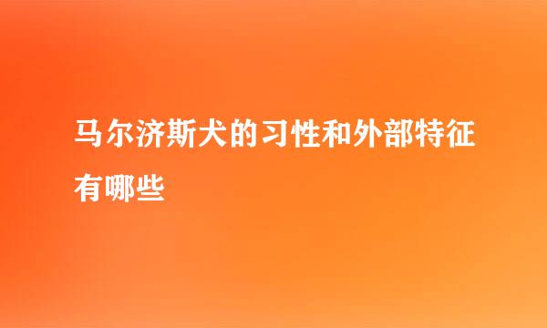 马尔济斯犬的习性和外部特征有哪些