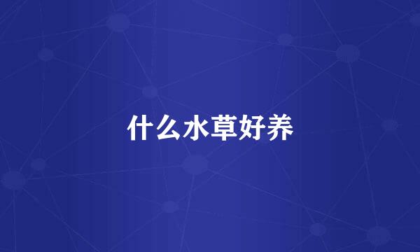 什么水草好养