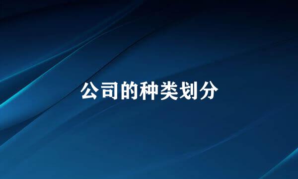 公司的种类划分