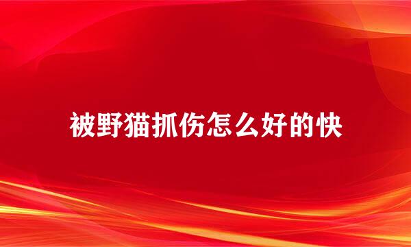 被野猫抓伤怎么好的快