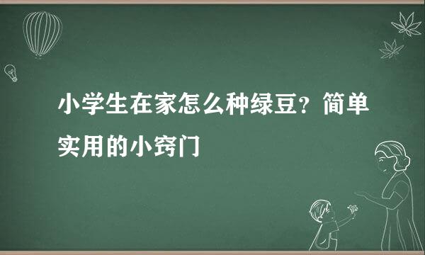 小学生在家怎么种绿豆？简单实用的小窍门