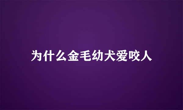 为什么金毛幼犬爱咬人