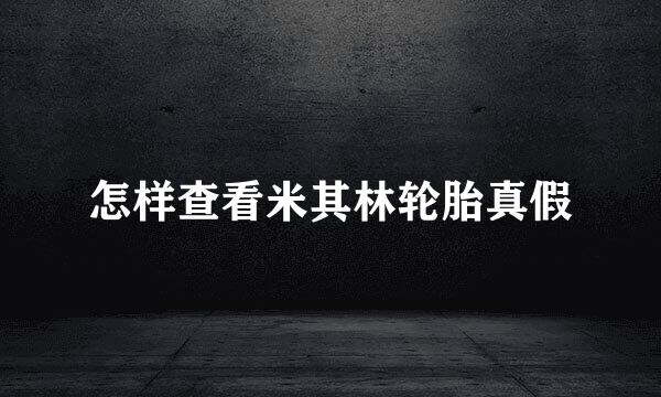 怎样查看米其林轮胎真假