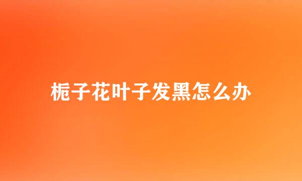 栀子花叶子发黑怎么办