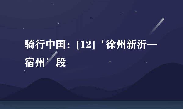 骑行中国：[12]‘徐州新沂—宿州’段