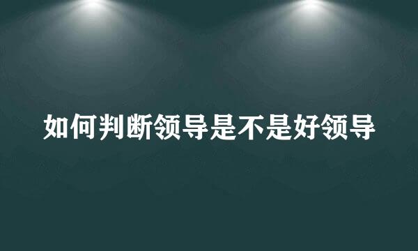 如何判断领导是不是好领导