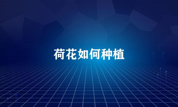 荷花如何种植