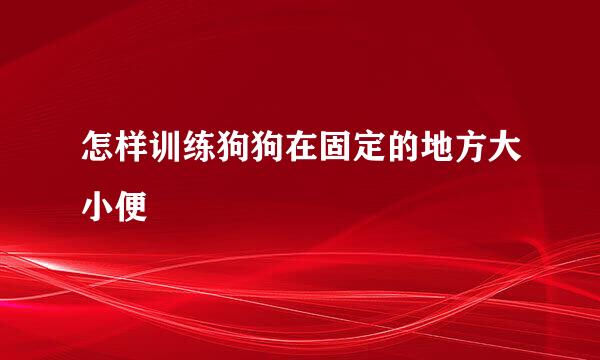 怎样训练狗狗在固定的地方大小便