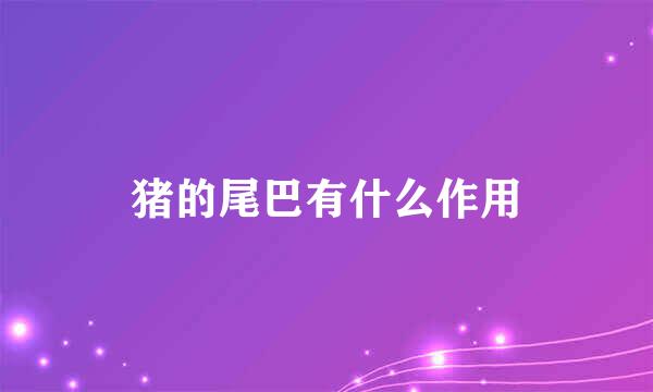 猪的尾巴有什么作用