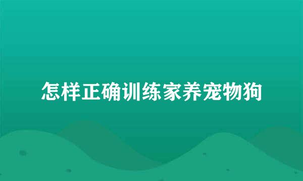 怎样正确训练家养宠物狗