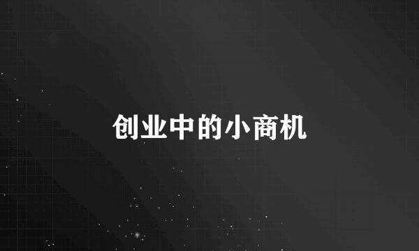 创业中的小商机