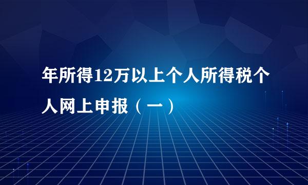 年所得12万以上个人所得税个人网上申报(一)