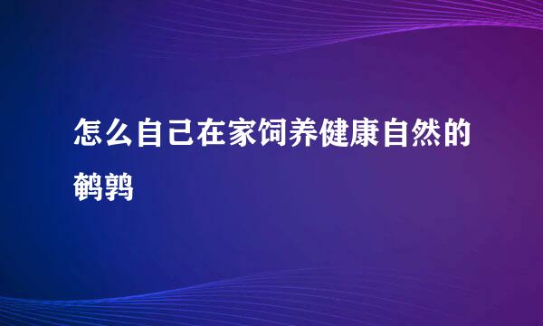 怎么自己在家饲养健康自然的鹌鹑
