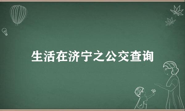 生活在济宁之公交查询