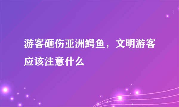 游客砸伤亚洲鳄鱼，文明游客应该注意什么