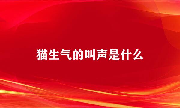 猫生气的叫声是什么