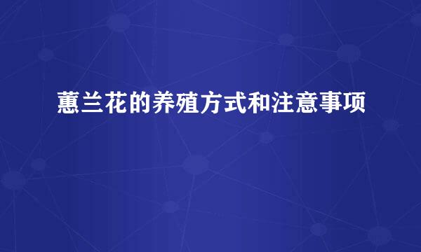 蕙兰花的养殖方式和注意事项