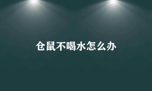 仓鼠不喝水怎么办