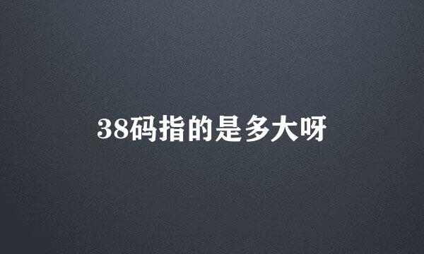 38码指的是多大呀