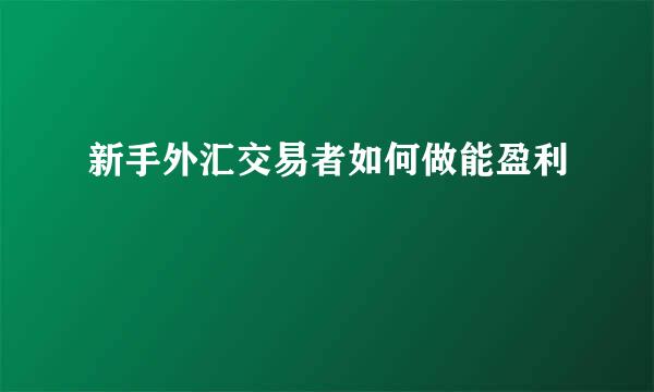 新手外汇交易者如何做能盈利